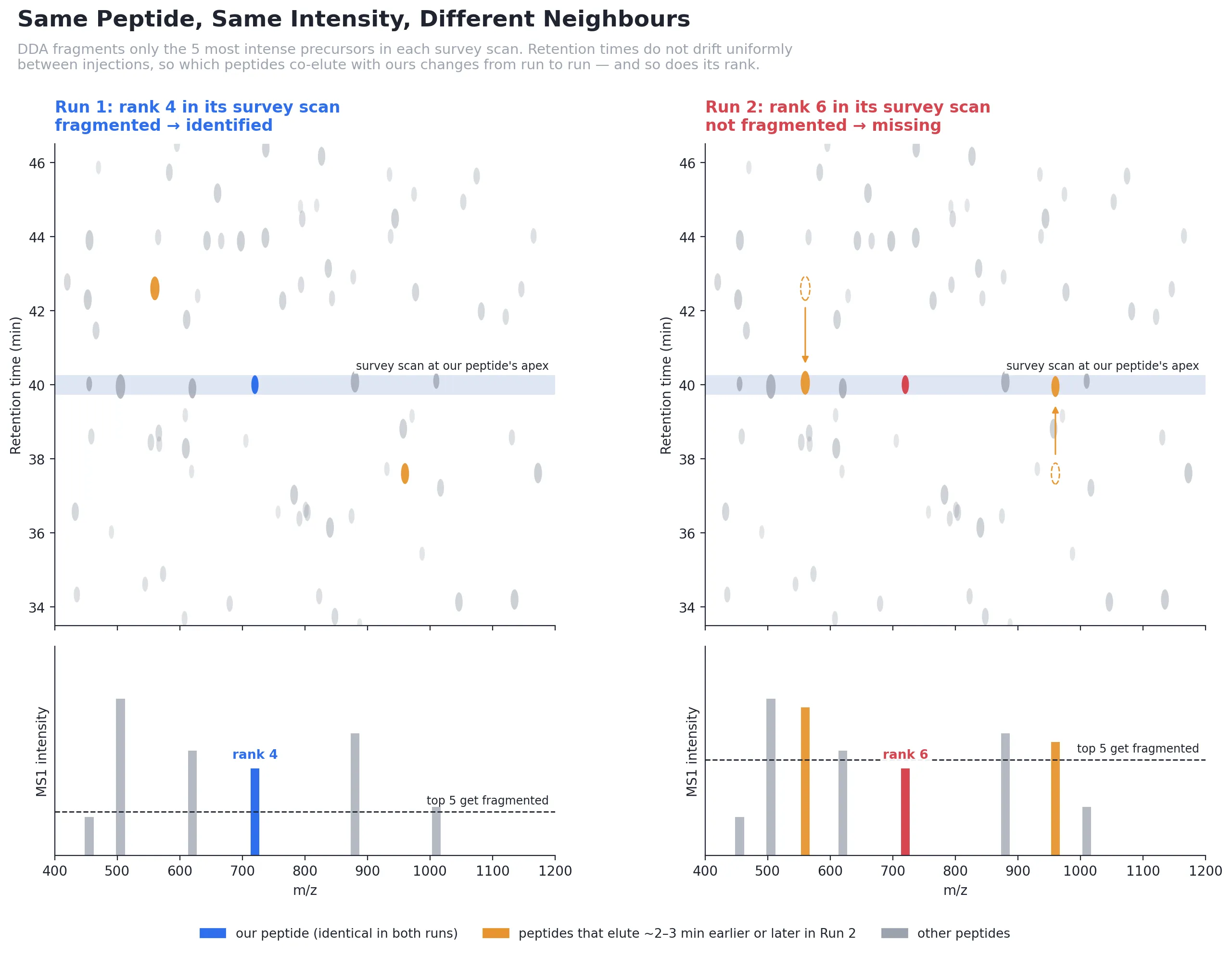m/z by retention time feature maps of two runs. Our peptide has the same retention time and intensity in both. In Run 2, two more intense peptides drift into the survey scan at its apex, pushing it from rank 4 to rank 6, just below the top-5 fragmentation cutoff