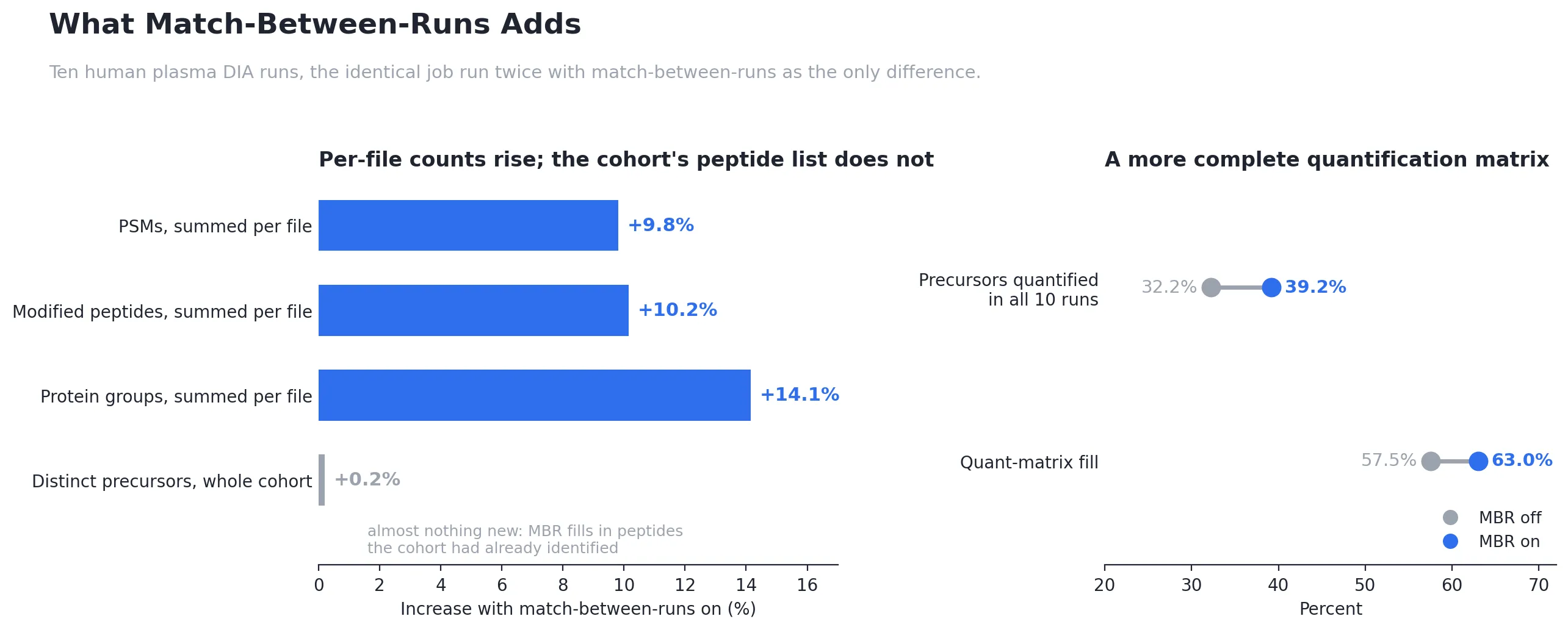 Left: with match-between-runs on, per-file PSMs rise 9.8%, modified peptides 10.2% and protein groups 14.1%, while distinct precursors across the cohort rise only 0.2%. Right: precursors quantified in all ten runs go from 32.2% to 39.2%, and quantification-matrix fill from 57.5% to 63.0%
