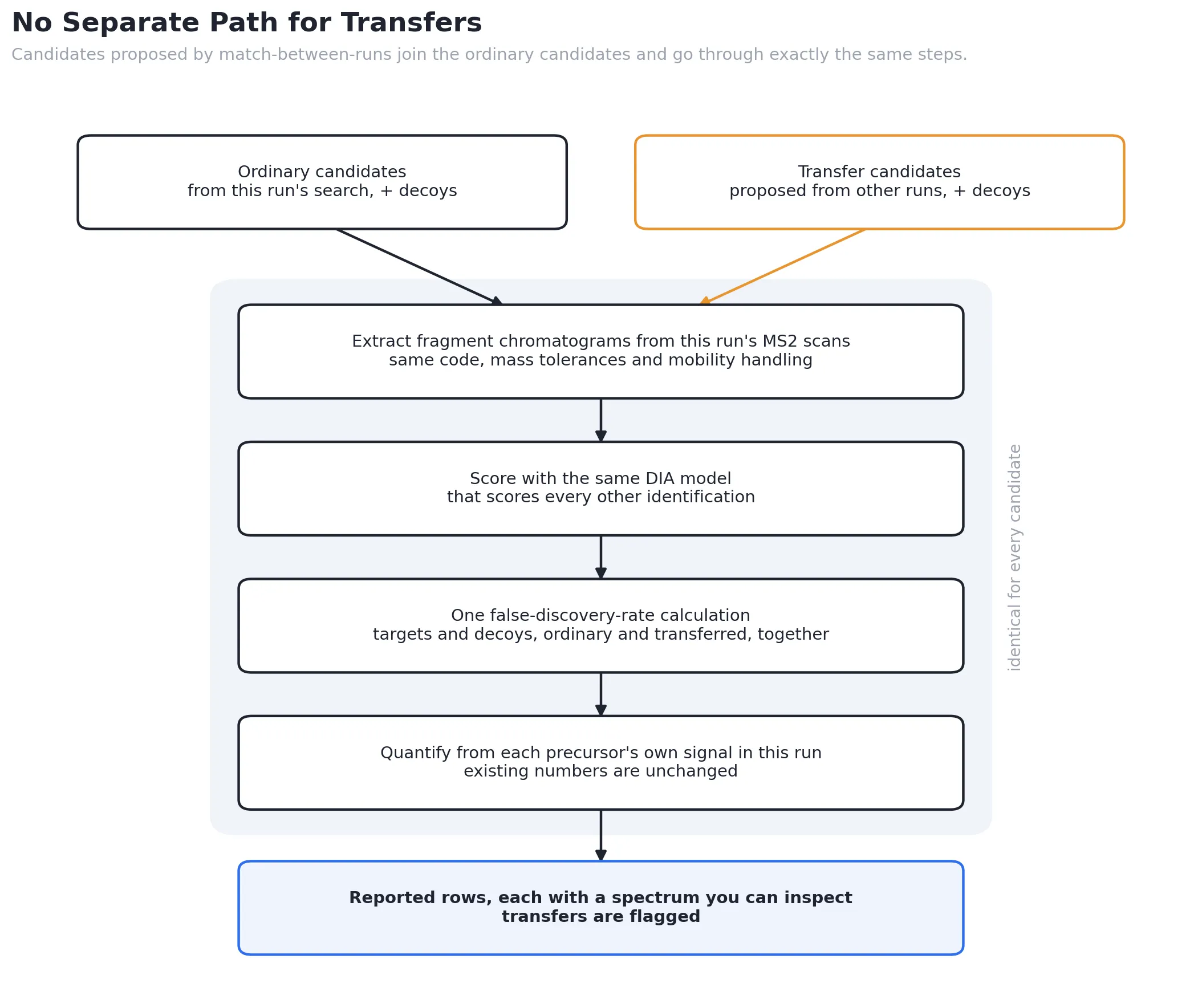 Flowchart: ordinary candidates and transfer candidates, each with decoys, feed into the same shared steps: fragment chromatogram extraction, the same DIA scoring model, one false-discovery-rate calculation, and per-run quantification, ending in reported rows that each have an inspectable spectrum