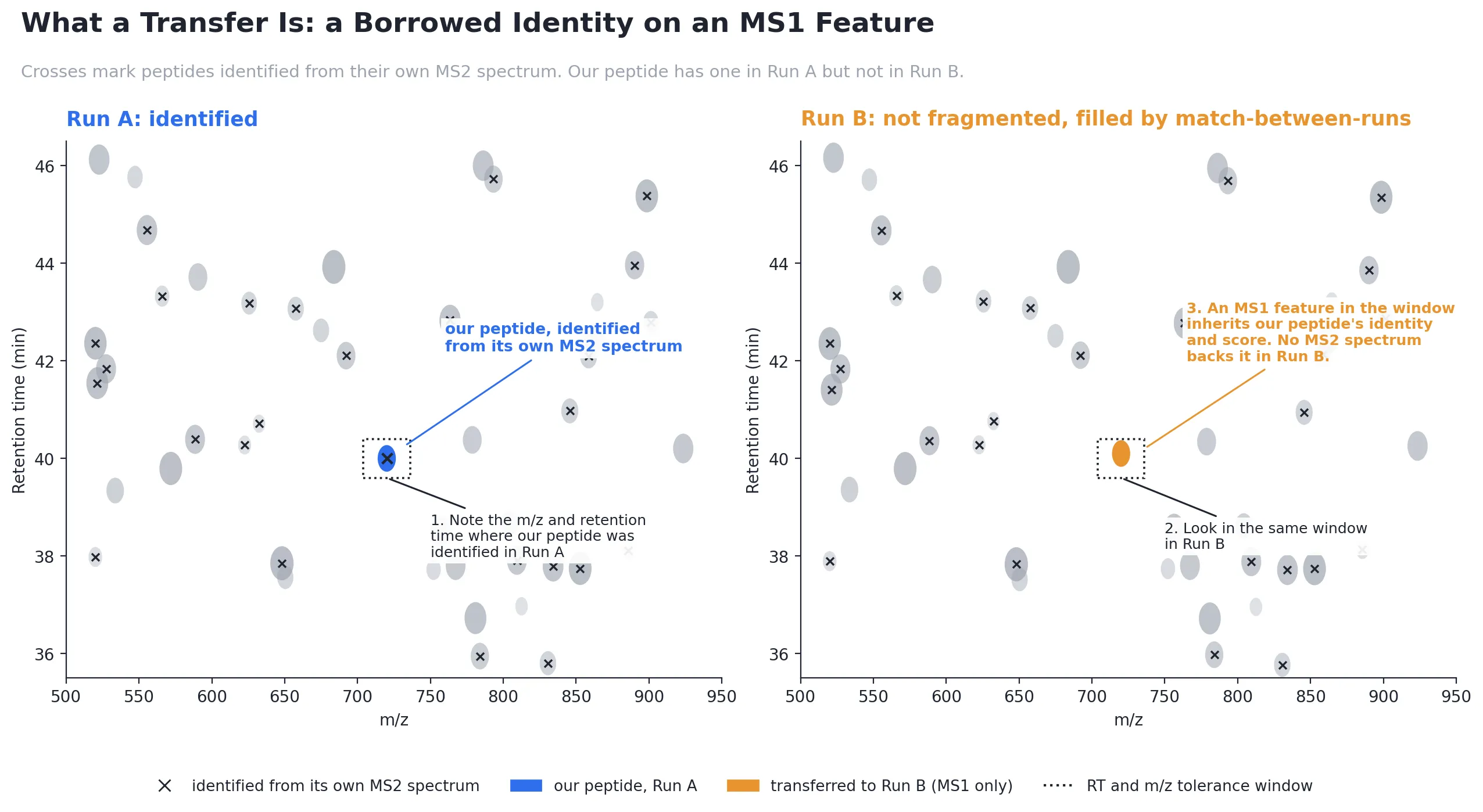 Feature maps of two runs. In Run A our peptide is identified from its own MS2 spectrum. In Run B it was not fragmented; an MS1 feature found at the same m/z and retention time inherits its identity and score with no MS2 evidence