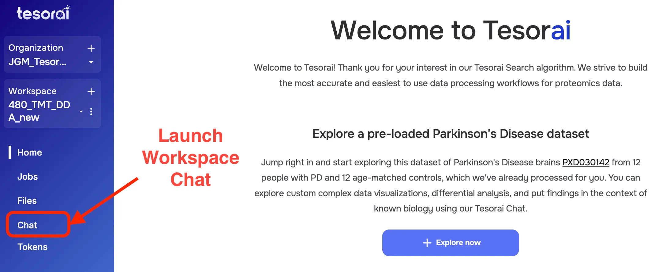 Launch workspace Chat