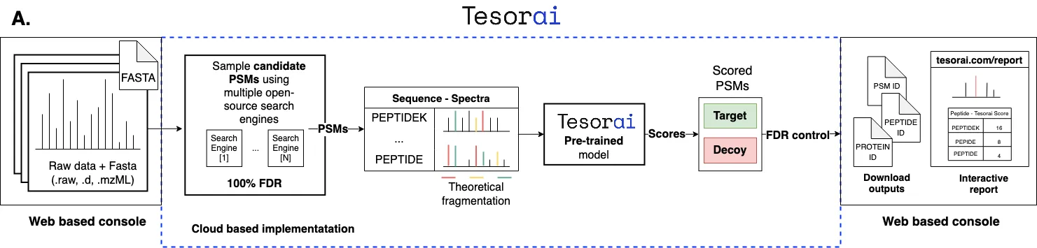 Tesorai Search architecture