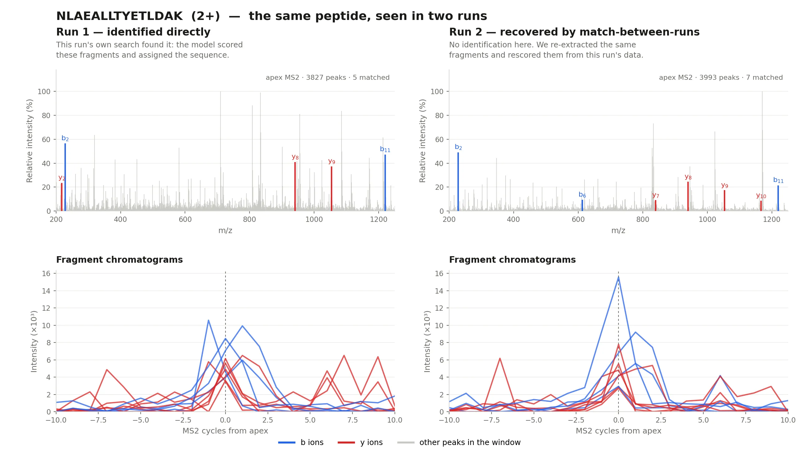 Apex spectrum and fragment chromatograms for a peptide identified directly in one run and transferred into another